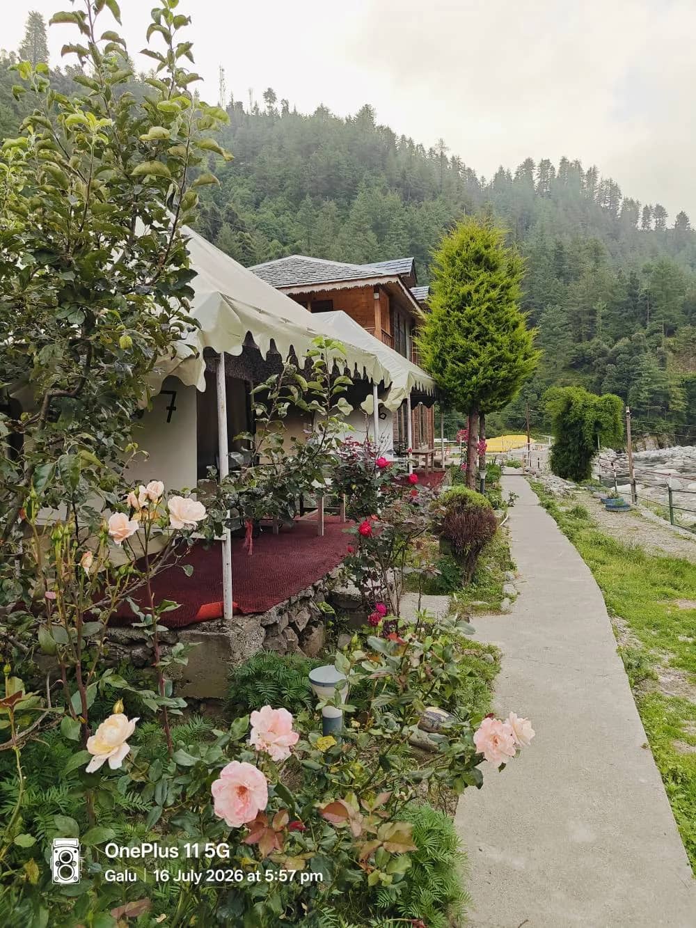 The grounds and cottages of The Heimat Resort, Barot Valley
