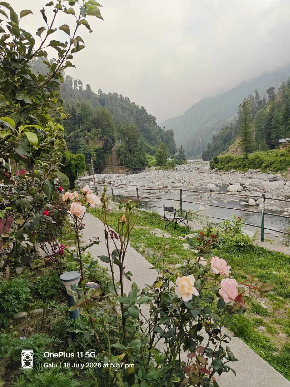 The grounds and cottages of The Heimat Resort, Barot Valley