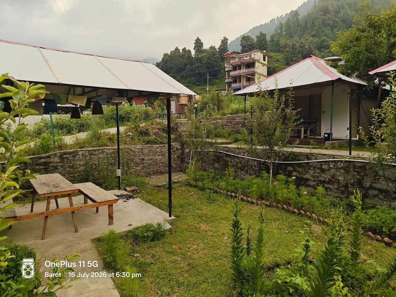 The grounds and cottages of The Heimat Resort, Barot Valley