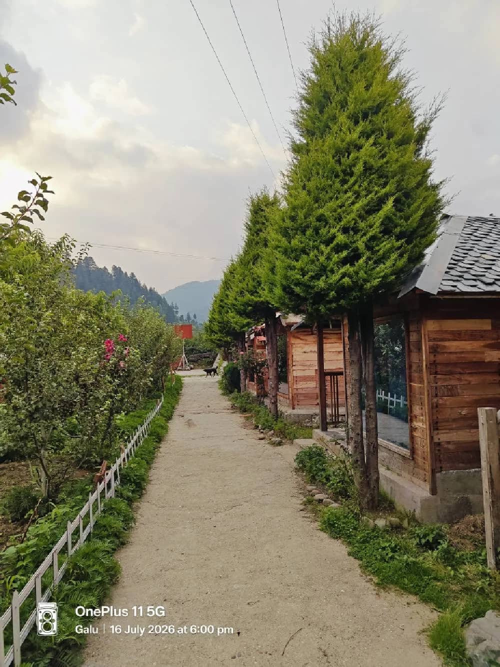 The grounds and cottages of The Heimat Resort, Barot Valley