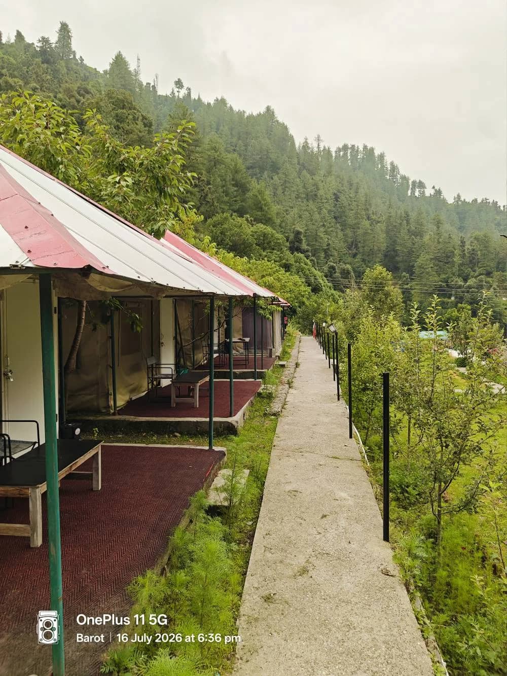 The grounds and cottages of The Heimat Resort, Barot Valley