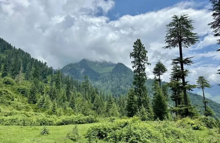 Nargu Wildlife Sanctuary