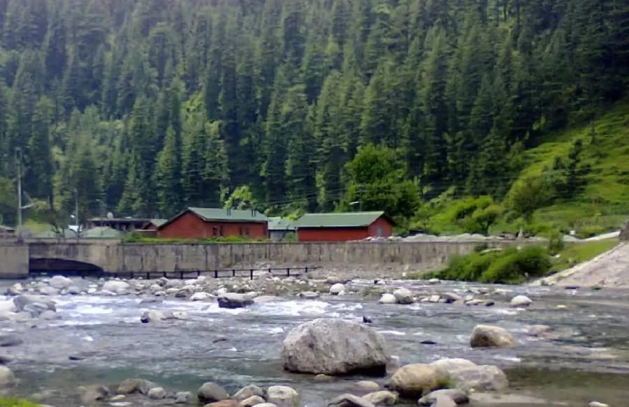 Trout Fish Farm